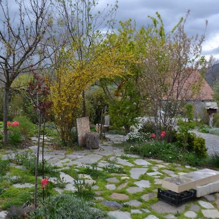 Petit Appartement En Montagne Saint-Julien-en-Champsaur Экстерьер фото