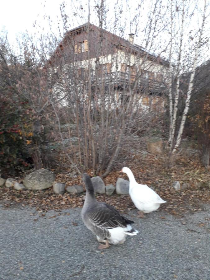 Petit Appartement En Montagne Saint-Julien-en-Champsaur Экстерьер фото